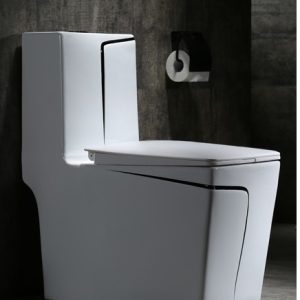 Black-Luxury-wc.jpg