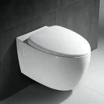 Super Executive Conduit Water Closet - Model BT365-TCT6